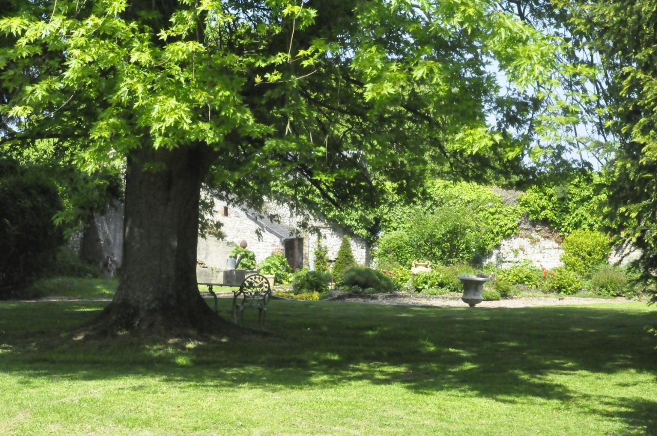 Chateau De St Sauveur D'Émalleville Exteriér fotografie