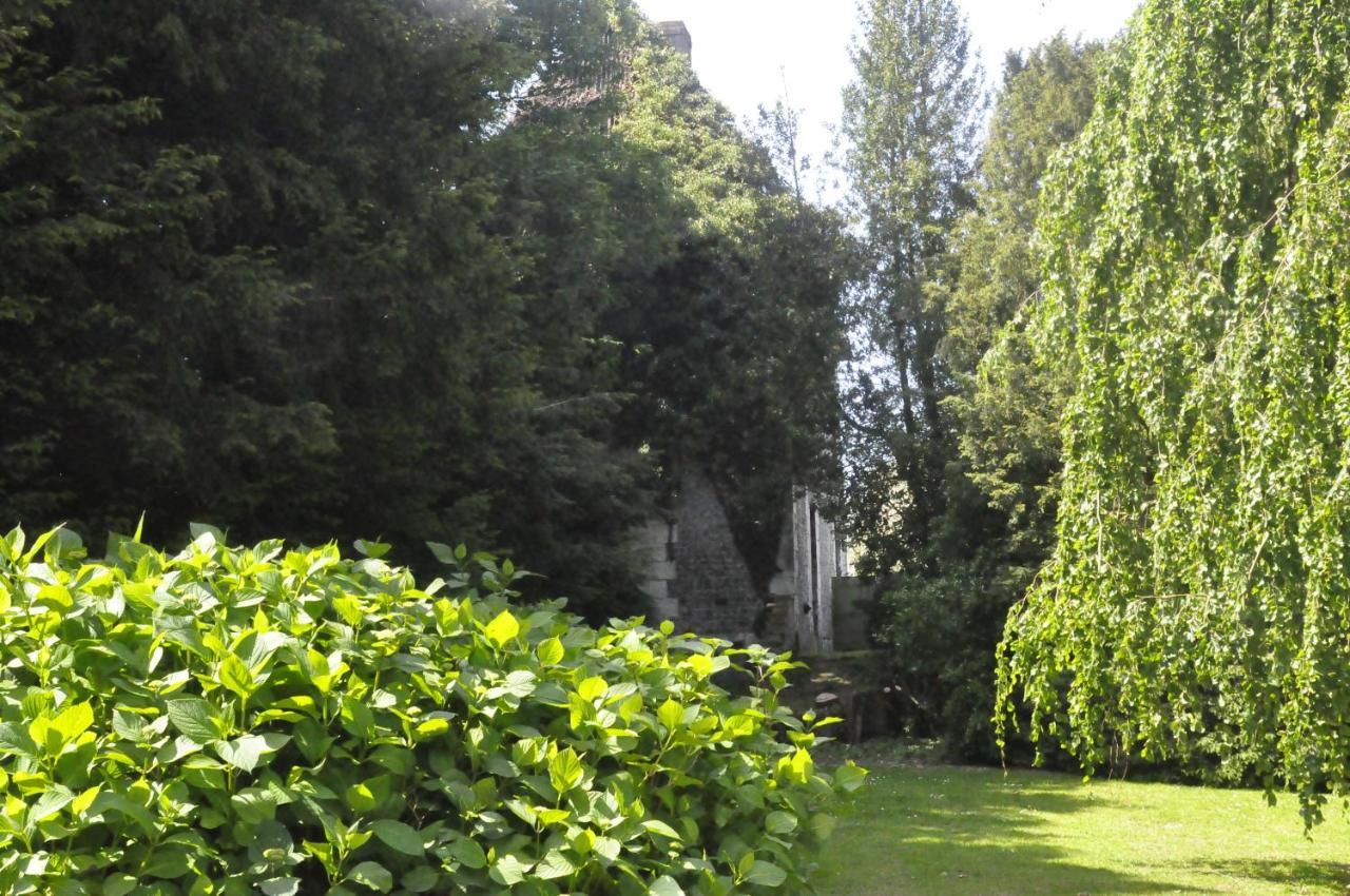 Chateau De St Sauveur D'Émalleville Exteriér fotografie